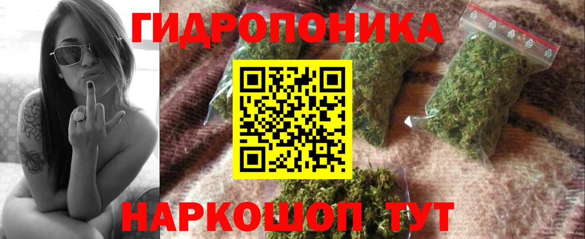 Марихуана индика Ефремов